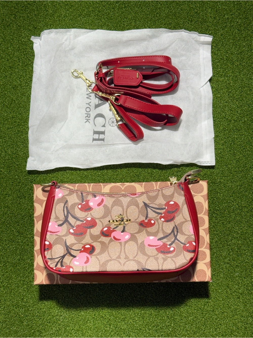 Coach Cherry-Print Signature Canvas Crossbody with cherry design